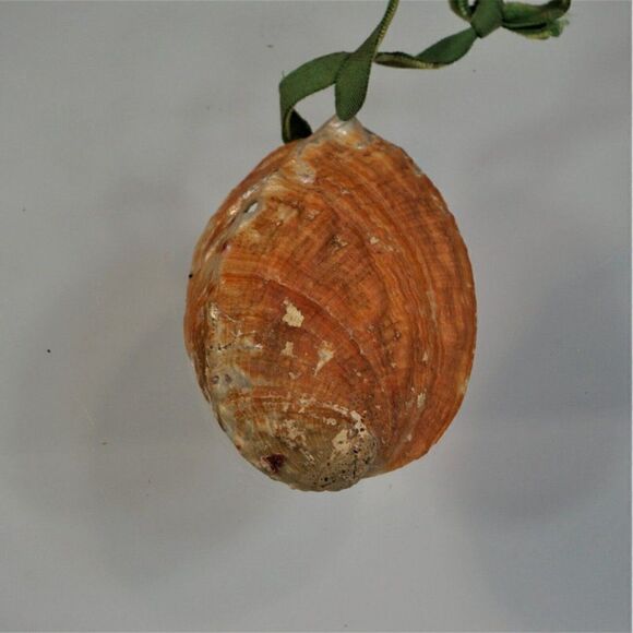 Vintage Christmas Shell Ornament Reindeer Diorama In Oyster Shell - Picture 7 of 7